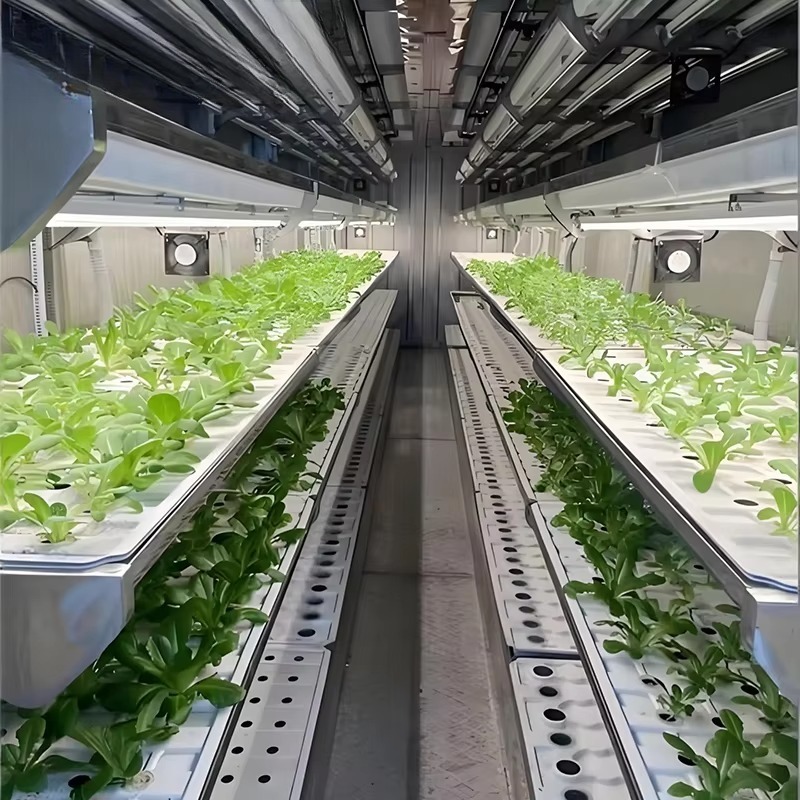 Smart Planting Container Verti - Urban Farming Hydroponic System ulasan dan harga