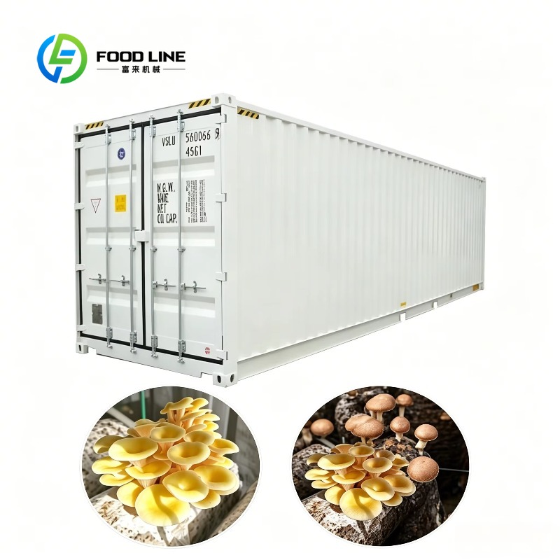 Hydroponic Container Farm with - Urban Farming Hydroponic System ulasan dan harga