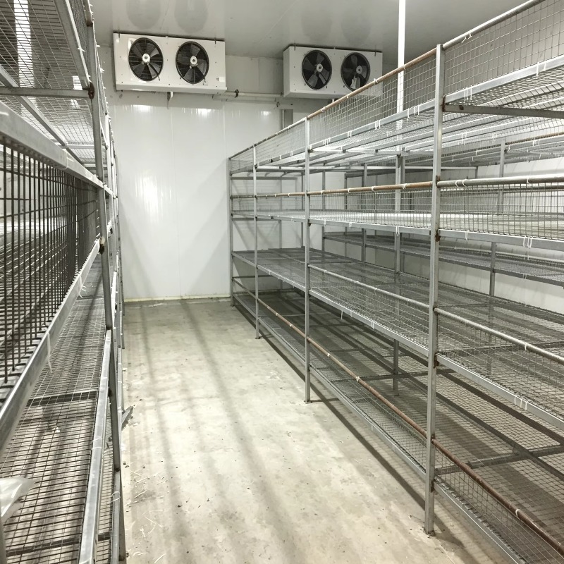 Hydroponic Container Farm with - Urban Farming Hydroponic System ulasan dan harga