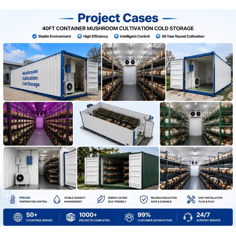 Hydroponic Container Farm with - Urban Farming Hydroponic System ulasan dan harga